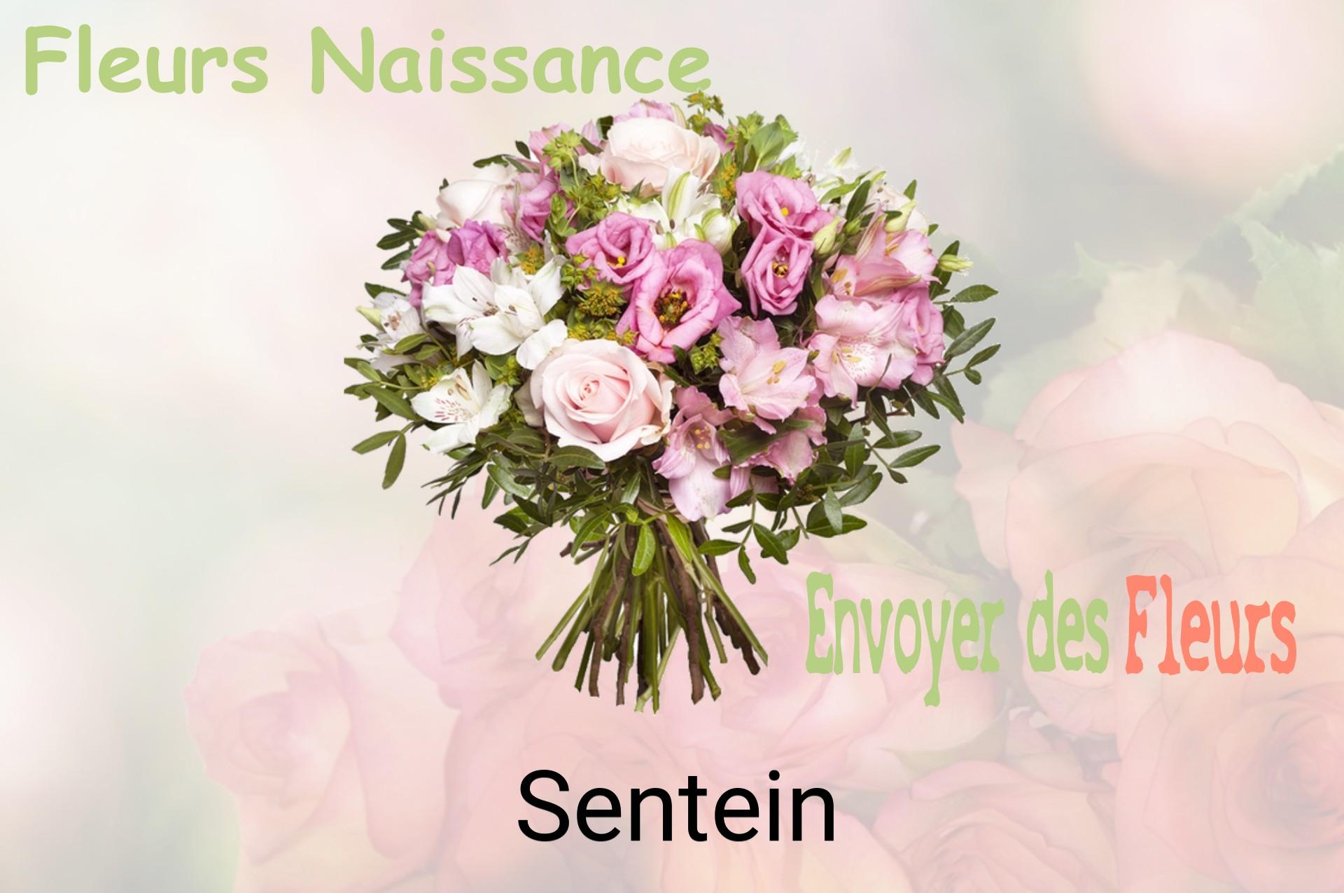 Bouquet de fleurs de naissance livré à Sentein
